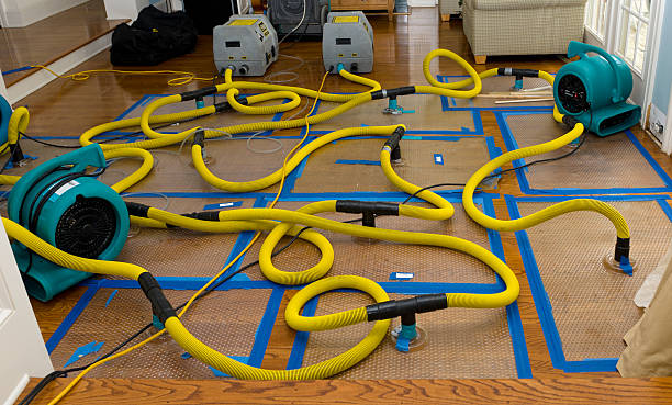 Professional Water Damage Repair technician working in Mount Gay, WV