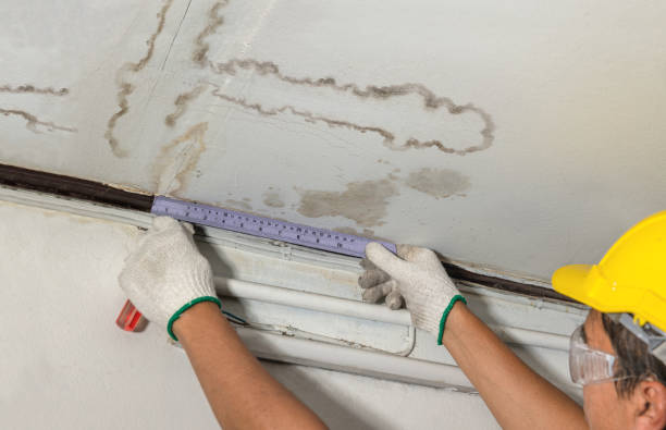 Affordable Water Damage Repair solutions in Mount Gay, WV
